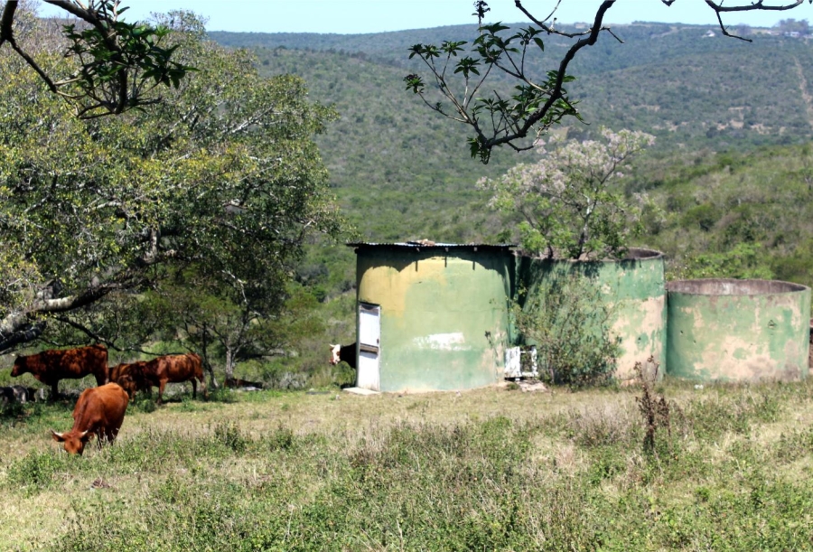 Commercial Property for Sale in Komga Rural Eastern Cape